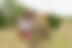 <p>Королевство полной луны </p>