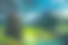<p>Ходячий замок</p>